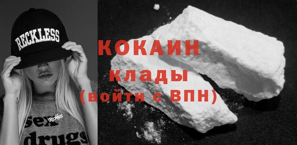 амф Горняк