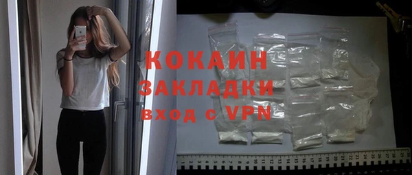амф Горняк