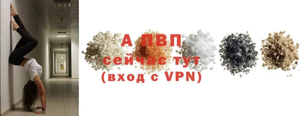 амф Горняк