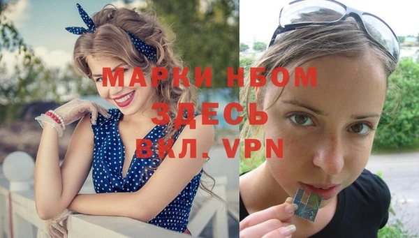 PSILOCYBIN Горнозаводск