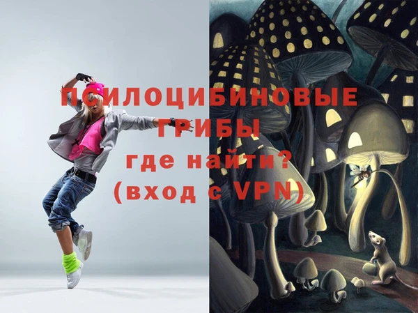 амф Горняк