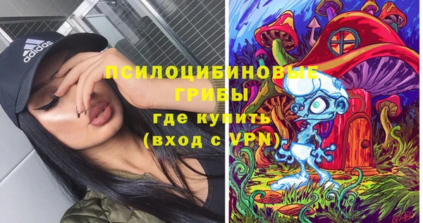 PSILOCYBIN Горнозаводск