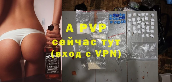 PSILOCYBIN Горнозаводск