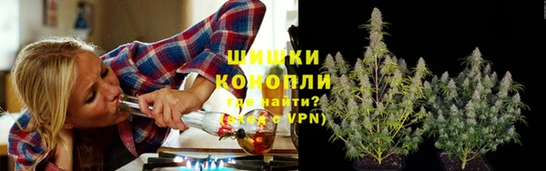амф Горняк
