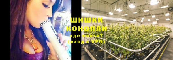 амф Горняк