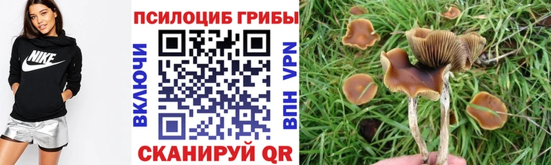 Псилоцибиновые грибы ЛСД  Гусиноозёрск 